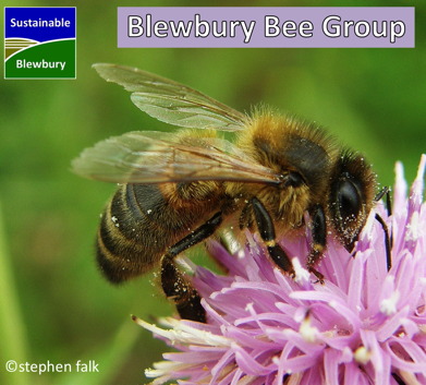 Blewbury Bee Group