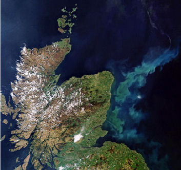 Plankton Bloom off Scotland